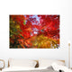 Autumn Leaves