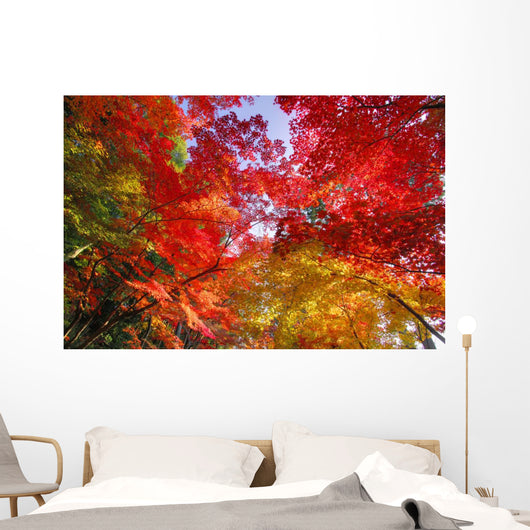 Autumn Leaves