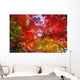 Autumn Leaves