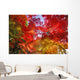 Autumn Leaves