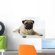 Mops