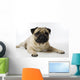 Mops