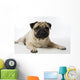 Mops