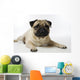 Mops