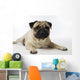Mops