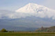Ararat Wall Decal