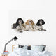Three cocker spaniels on a white background;St albert alberta canada Wall Mural