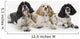 Three cocker spaniels on a white background;St albert alberta canada Wall Mural