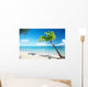 Caribbean sea and coconut palm Wall Mural