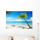 Caribbean sea and coconut palm Wall Mural