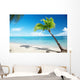 Caribbean sea and coconut palm Wall Mural