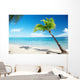 Caribbean sea and coconut palm Wall Mural