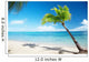 Caribbean sea and coconut palm Wall Mural