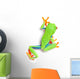 Frog From Above Walking Isolated on White Wall Decal