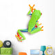 Frog From Above Walking Isolated on White Wall Decal