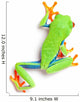 Frog From Above Walking Isolated on White Wall Decal