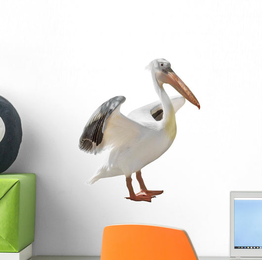 Large Pelican Wall Decal