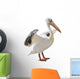 Large Pelican Wall Decal