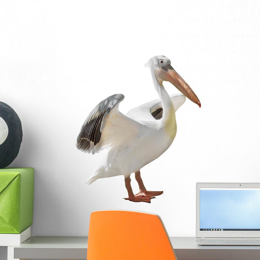 Large Pelican Wall Decal