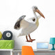 Large Pelican Wall Decal