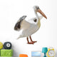 Large Pelican Wall Decal