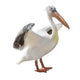 Large Pelican Wall Decal