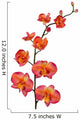 orange orchid Wall Decal