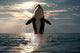 Killer Whale Jumping out of Water Wall Mural