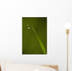 Droplet Of Water On End Of Blade Of Grass Early In The Morning Wall Mural