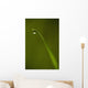 Droplet Of Water On End Of Blade Of Grass Early In The Morning Wall Mural