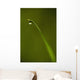 Droplet Of Water On End Of Blade Of Grass Early In The Morning Wall Mural