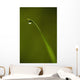 Droplet Of Water On End Of Blade Of Grass Early In The Morning Wall Mural