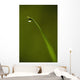 Droplet Of Water On End Of Blade Of Grass Early In The Morning Wall Mural