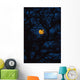 Moon Rising Behind Old Oak Tree, Petersfield, Hampshire, Uk Wall Mural
