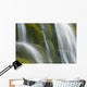 Small Waterfall Over Mossy Stones In Gleann Enich Near Aviemore Wall Mural