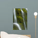 Small Waterfall Over Mossy Stones In Gleann Enich Near Aviemore Wall Mural