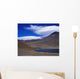 Chile, Atacama, Laguna Miscante, Landscape Wall Mural