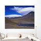 Chile, Atacama, Laguna Miscante, Landscape Wall Mural