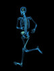 x-ray skeleton Wall Mural
