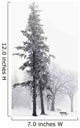 Ice Fog In Winter In Assiniboine Park Wall Mural