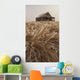 Old Abandoned Homestead In The Prairies Wall Mural