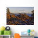 Rocky Coastline With Snow Wall Mural