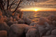 Ice-Covered Trees And Rocks Wall Mural