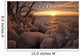 Ice-Covered Trees And Rocks Wall Mural