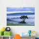 Tree And Fog At Dawn Wall Mural