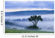 Tree And Fog At Dawn Wall Mural