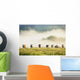 Group Of Cows In The Fog Wall Mural
