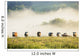 Group Of Cows In The Fog Wall Mural