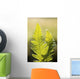 Close-Up Of Green Ferns Wall Mural