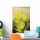 Close-Up Of Green Ferns Wall Mural